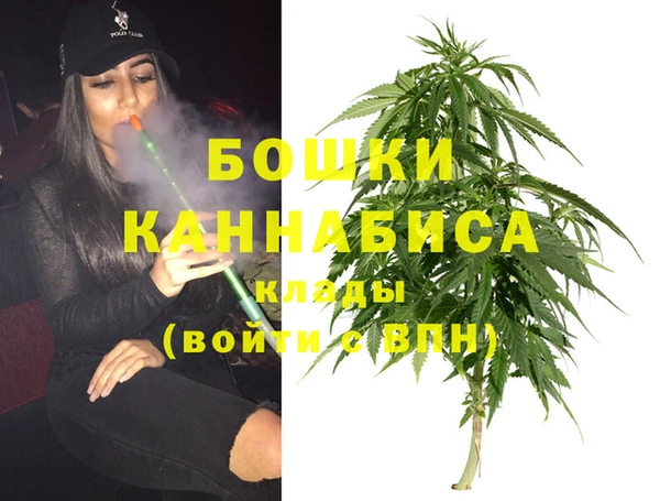 гидропоника Дмитриев