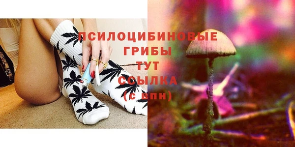 гидропоника Дмитриев