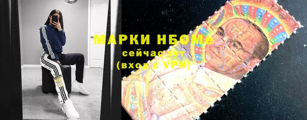 гидропоника Дмитриев