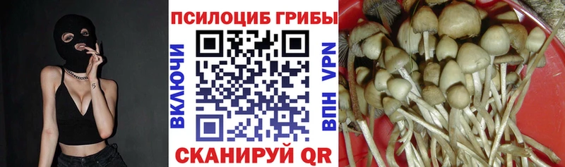 Галлюциногенные грибы мухоморы Северо-Курильск